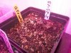 20130227_212417.jpg
