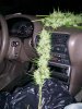 100_0463.jpg