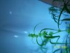 100_1124.JPG