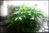20130301_231152851543463.jpg