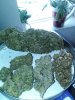 IMG_20130224_125304.jpg