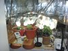 DSC00566.jpg