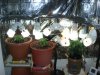DSC00573.jpg