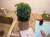 DSC00570.jpg