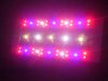 led1cw.jpg