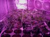 2013-03-03_15-55-07_209.jpg