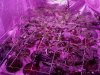 2013-03-03_15-55-24_854.jpg