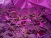 2013-03-03_15-55-50_866.jpg