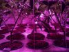 2013-03-03_15-56-12_934.jpg