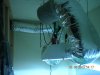 DSCN1734.jpg DSCN1734.jpg