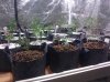 IMG_20130302_171507.jpg