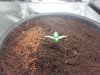 20130305_220844.jpg