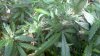 2013-03-06_10-42-22_808.jpg