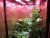 Day_16_1_Bagseed_Plant Gone.jpg Day_16_1_Bagseed_Plant Gone.jpg
