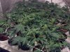 2013-03-06_16-49-36_411.jpg