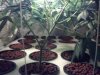 2013-03-06_16-50-08_865.jpg