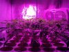 2013-03-06_16-42-19_779.jpg