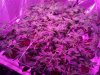 2013-03-06_16-42-48_147.jpg
