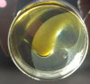 Extraction absolute-1-1.jpg