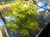 Img_130306212123.jpeg