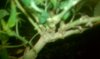 IMAG0381.jpg IMAG0381.jpg