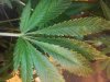 20130308_101350.jpg 20130308_101350.jpg