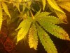 20130308_101416.jpg 20130308_101416.jpg