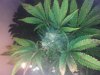 20130308_101649.jpg 20130308_101649.jpg