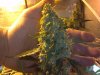 2013-03-08_17-55-56_239.jpg