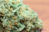 Feb-Fri-Green-Crack004.jpg