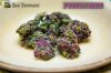 Purple Haze Ellis SmallRES.jpg