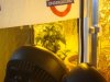 DSC00594.jpg