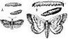 iha03201-1.jpg