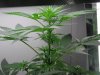 17Aug07_003.jpg