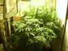 indoor 001.jpg