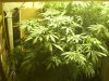 indoor 002.jpg