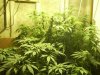 indoor 003.jpg