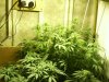 indoor 004.jpg