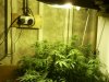 indoor 005.jpg