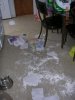 house 003.jpg