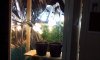 20130311_162741.jpg
