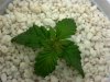 2013-03-11_20-53-01_543.2.jpg
