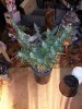 20130312_173433.jpg 20130312_173433.jpg
