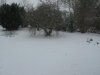 IMG_0645.jpg