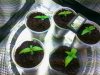 2013-03-11 22.40.36.jpg