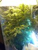 Img_130312202907.jpeg