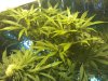 Img_130312202951.jpeg