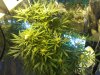 Img_130312203027.jpeg