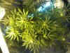 Img_130312203132.jpeg