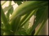 camera-1361748172.jpg